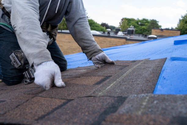Quick and Trustworthy Emergency Roof Repair Services in Rochester, MN