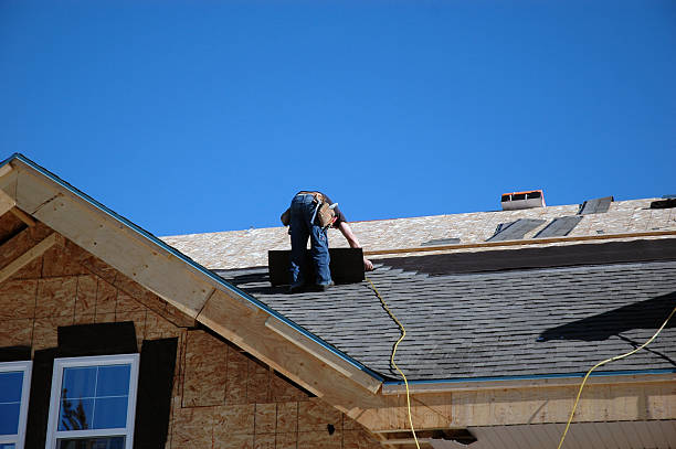 Best Metal Roofing Contractor  in Rochester, MN